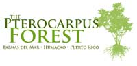 the-pterocarpus-logo